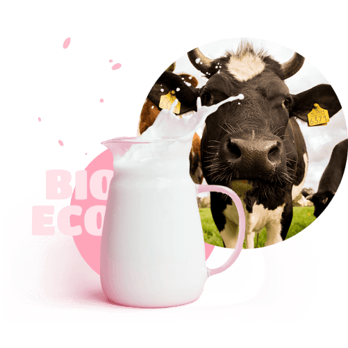 Image with cow and milk